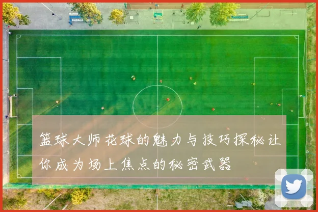 篮球大师花球的魅力与技巧探秘让你成为场上焦点的秘密武器