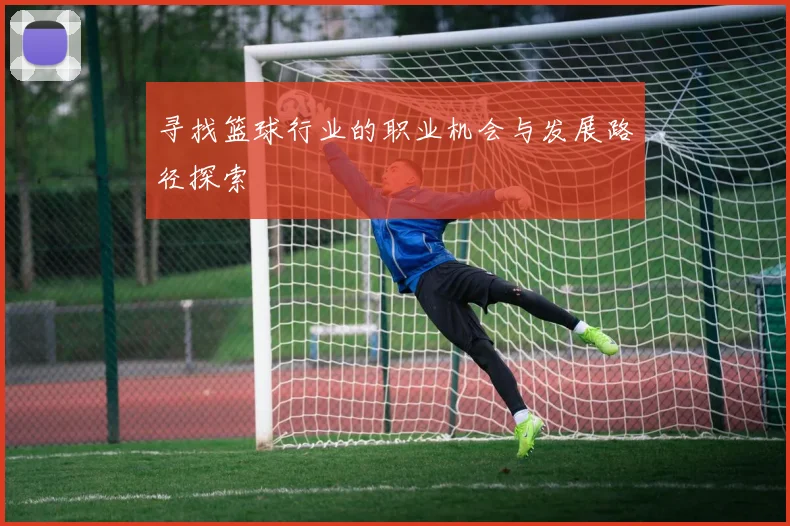 寻找篮球行业的职业机会与发展路径探索
