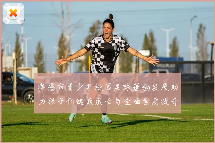 孝感市青少年校园足球蓬勃发展助力孩子们健康成长与全面素质提升